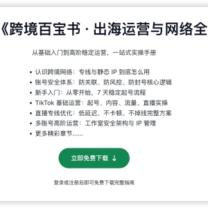 TikTok网络不稳定频繁断连？跨境网络优化实操